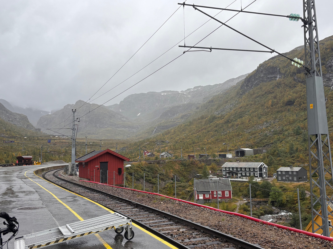 Myrdal Station-米达尔必去景点