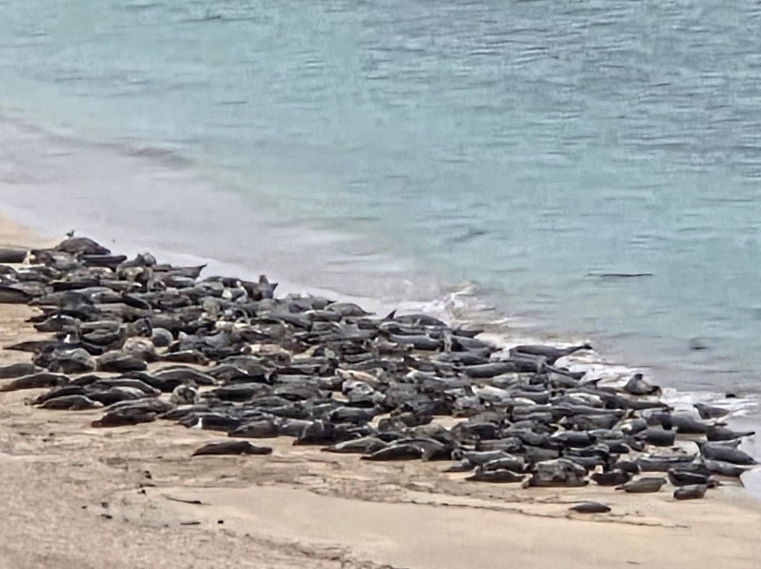 Great Blasket Island-丁格尔半岛必去景点