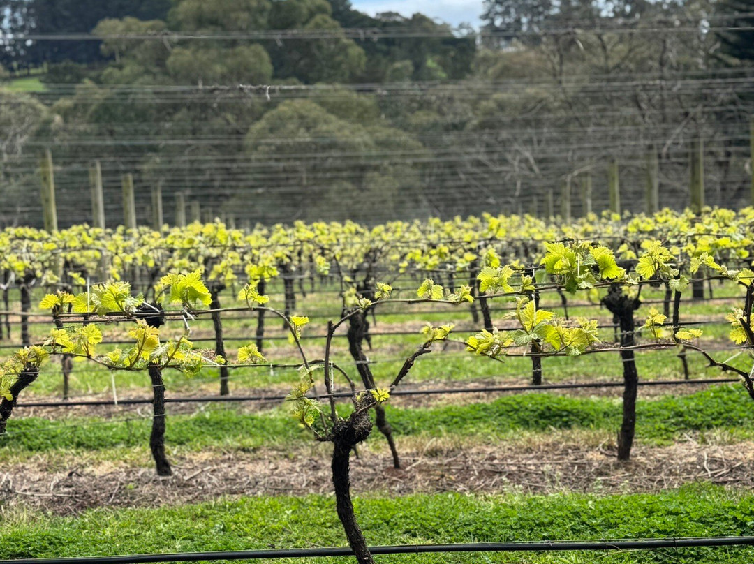 Mont Rouge Estate-红山必去景点