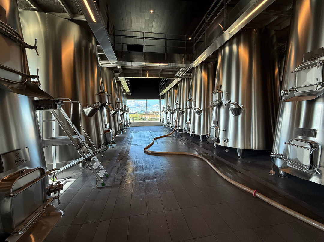 Château Pedesclaux-波亚克必去景点