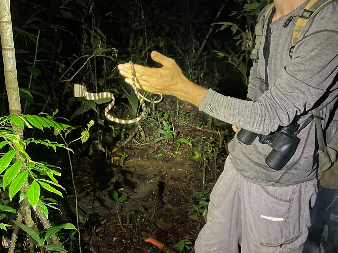 Tapiche Jungle Reserve-伊基托斯必去景点
