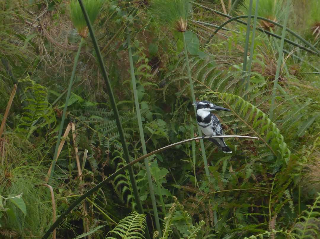 Northern Nature Safaris-Gulu必去景点