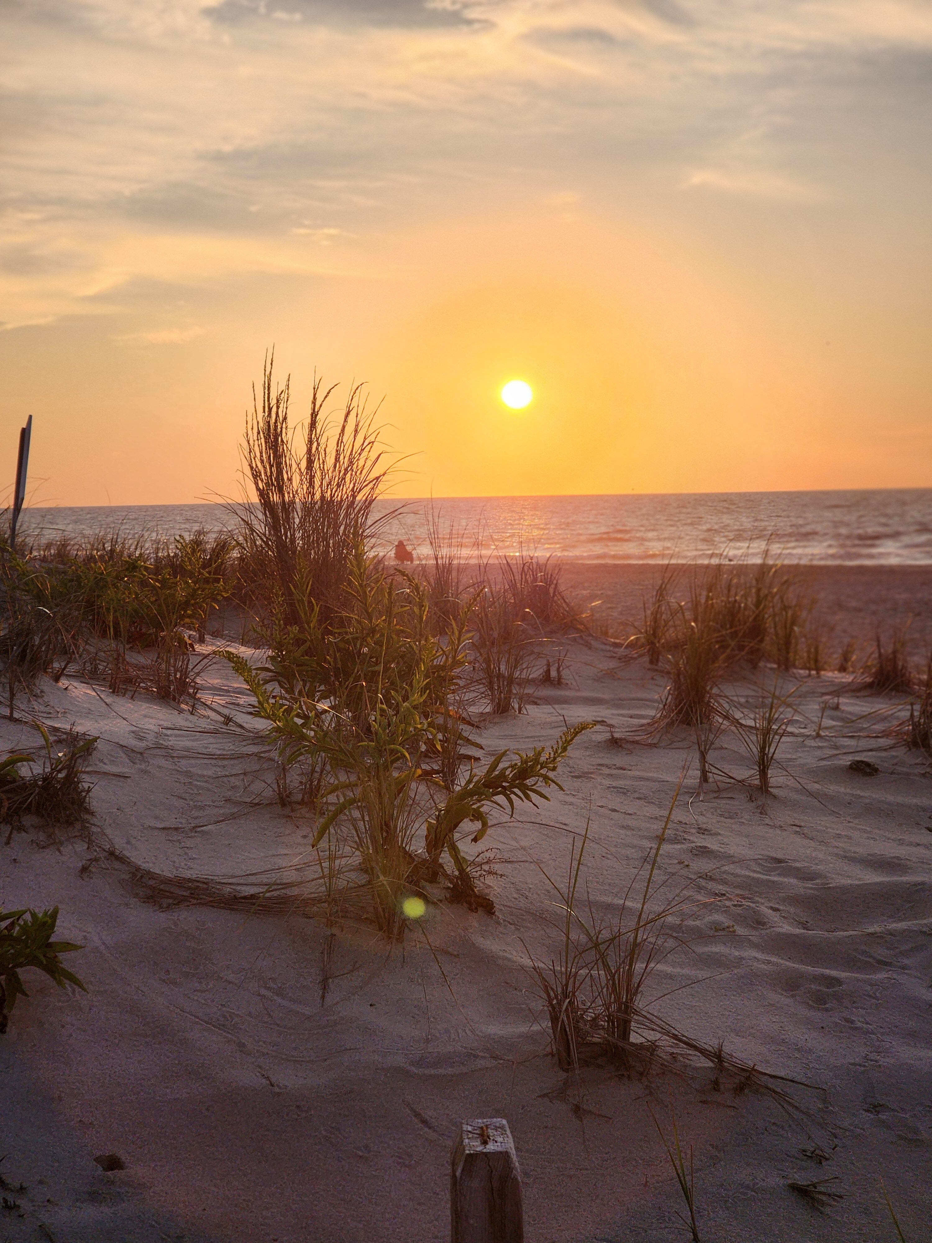 Surf City Hotel-泳池
