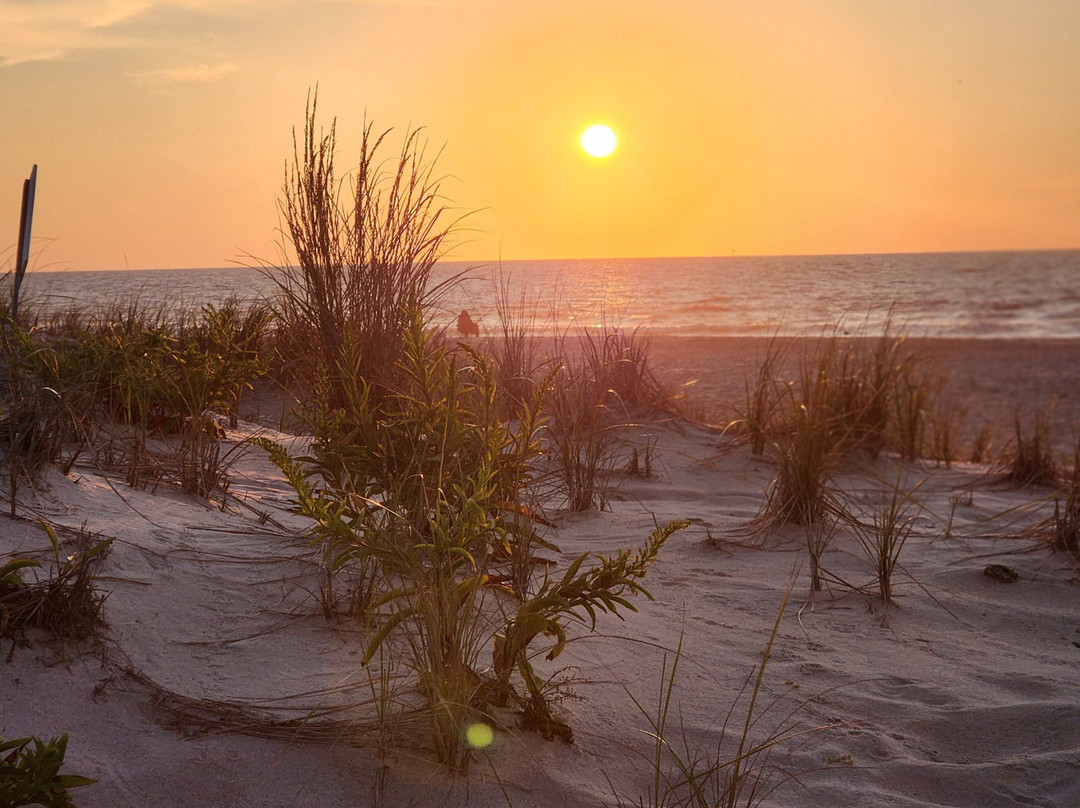 Surf City Hotel主图