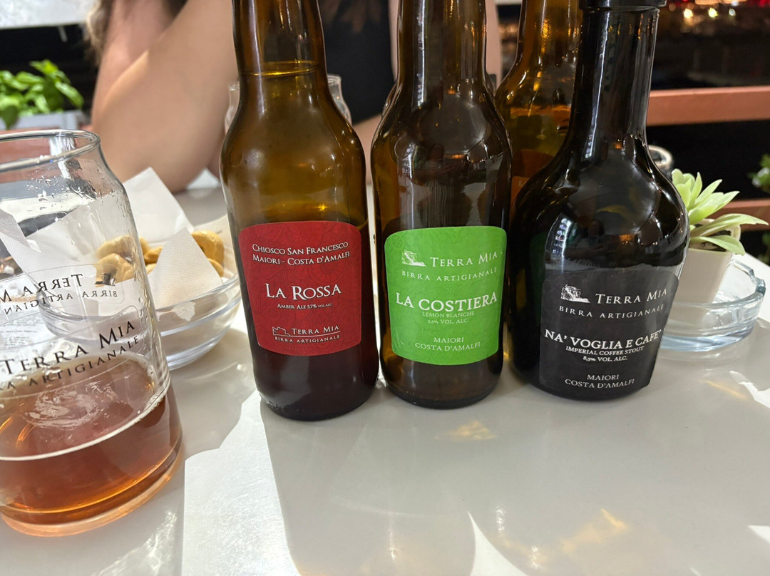 Birra Artigianale TERRA MIA-马奥莱必去景点