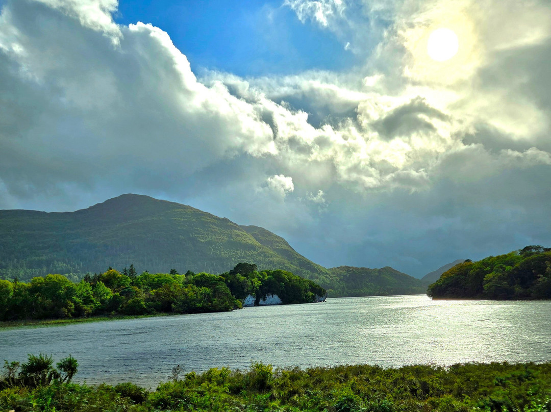 Killarney Fishing Adventures-基拉尼必去景点