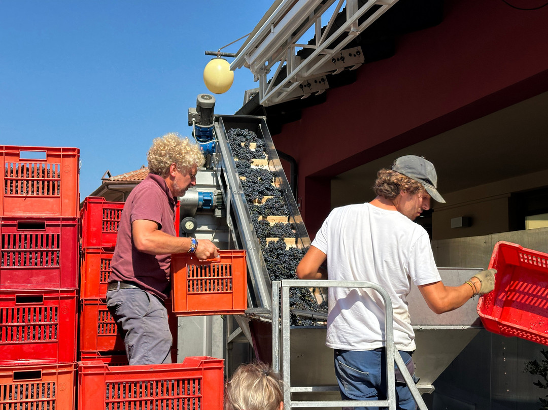 Piedmont Food and Wine-Vinchio必去景点