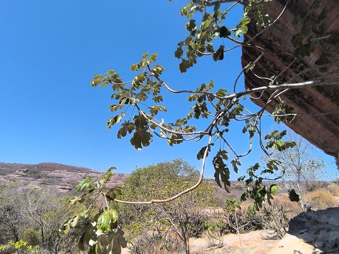 Receptivo Selva Branca-Sao Raimundo Nonato必去景点