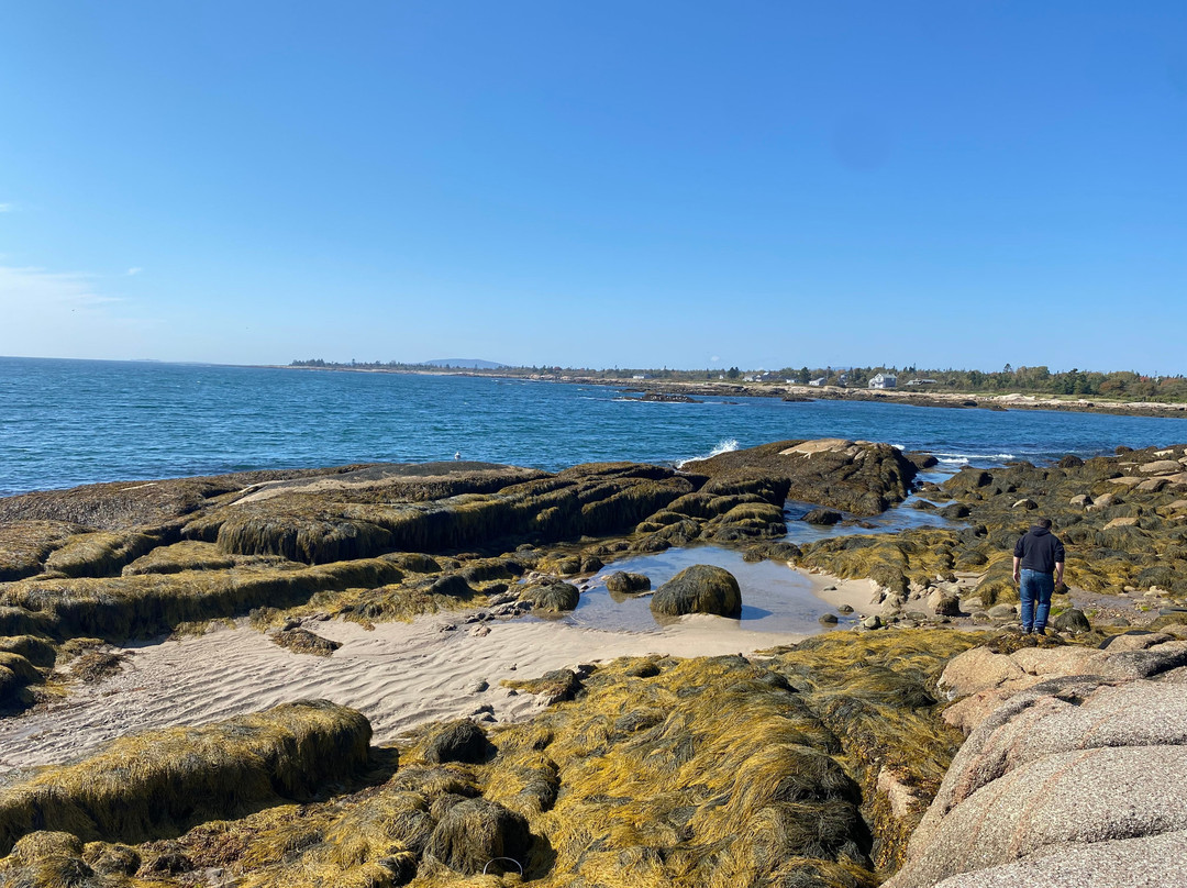 Starlight Lodge at Rockport Harbor主图