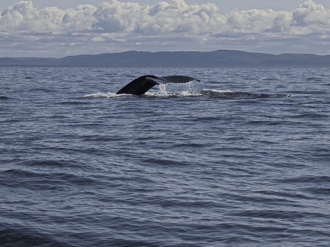 Du Fleuve-Les Escoumins必去景点