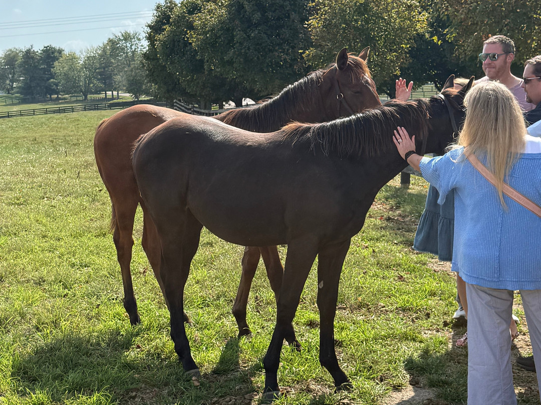 Taylor Made Farm-Nicholasville必去景点