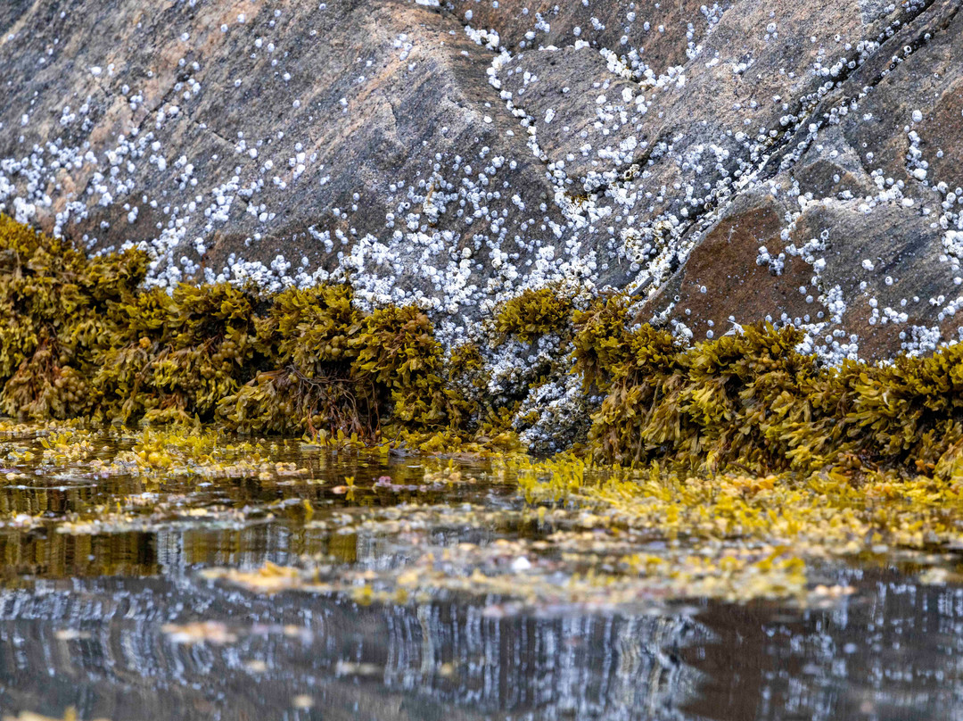 Sisimiut Museum-Sisimiut必去景点