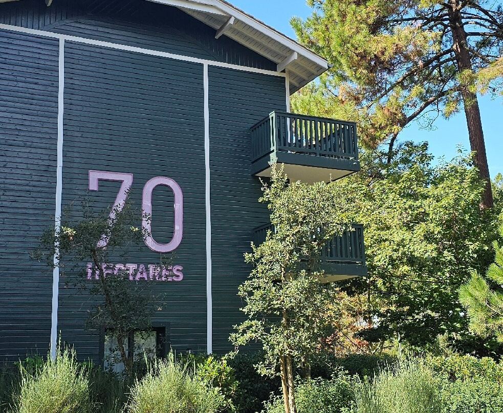 70 Hectares Et L'océan主图