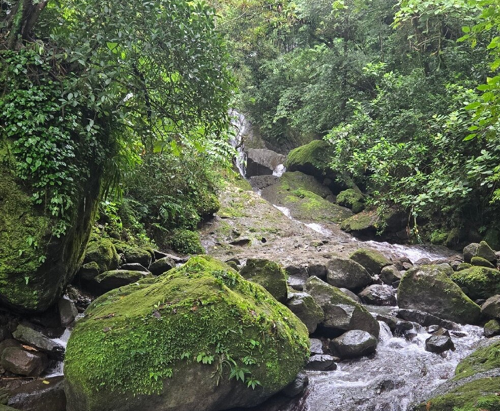 The Sleeping Indian Girl-安东谷必去景点