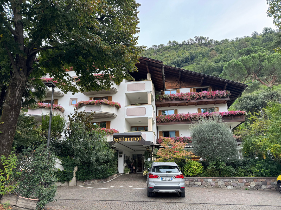 Sittnerhof Hotel主图