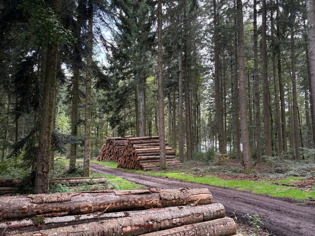 Prieuré Du Val Saint-benoît-Epinac必去景点