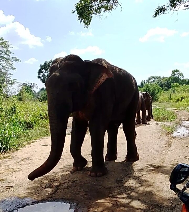 Hurulu Eco Park-哈巴拉娜必去景点