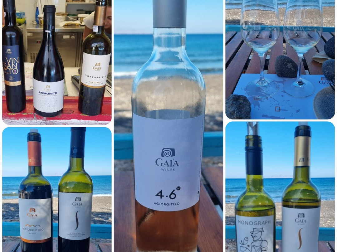 Gaia Winery-佩里沃罗必去景点