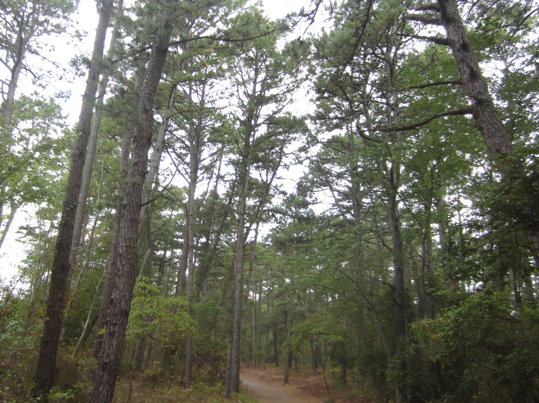 Cape Henlopen State Park-刘易斯必去景点