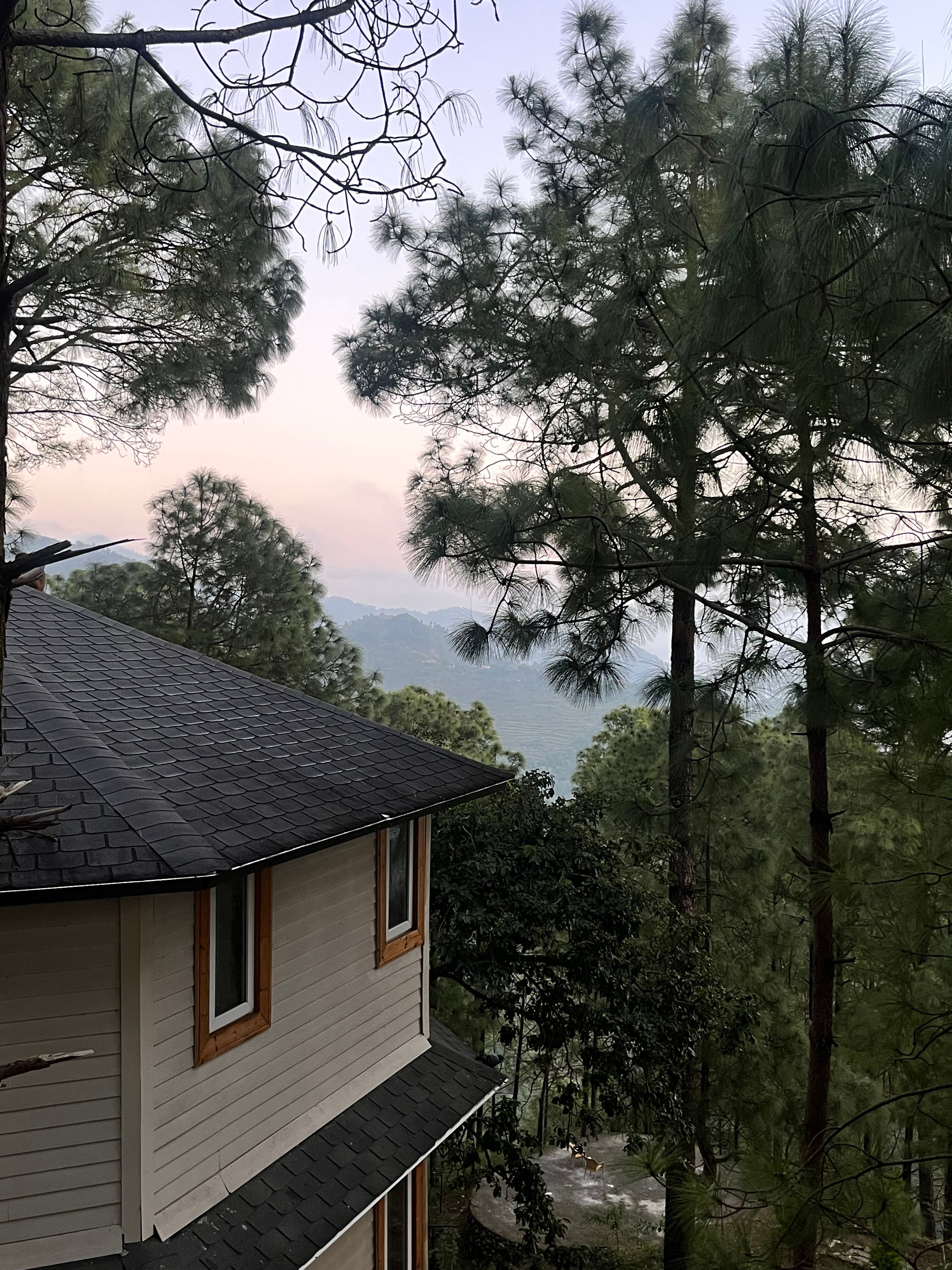 The Woods Retreat-官方