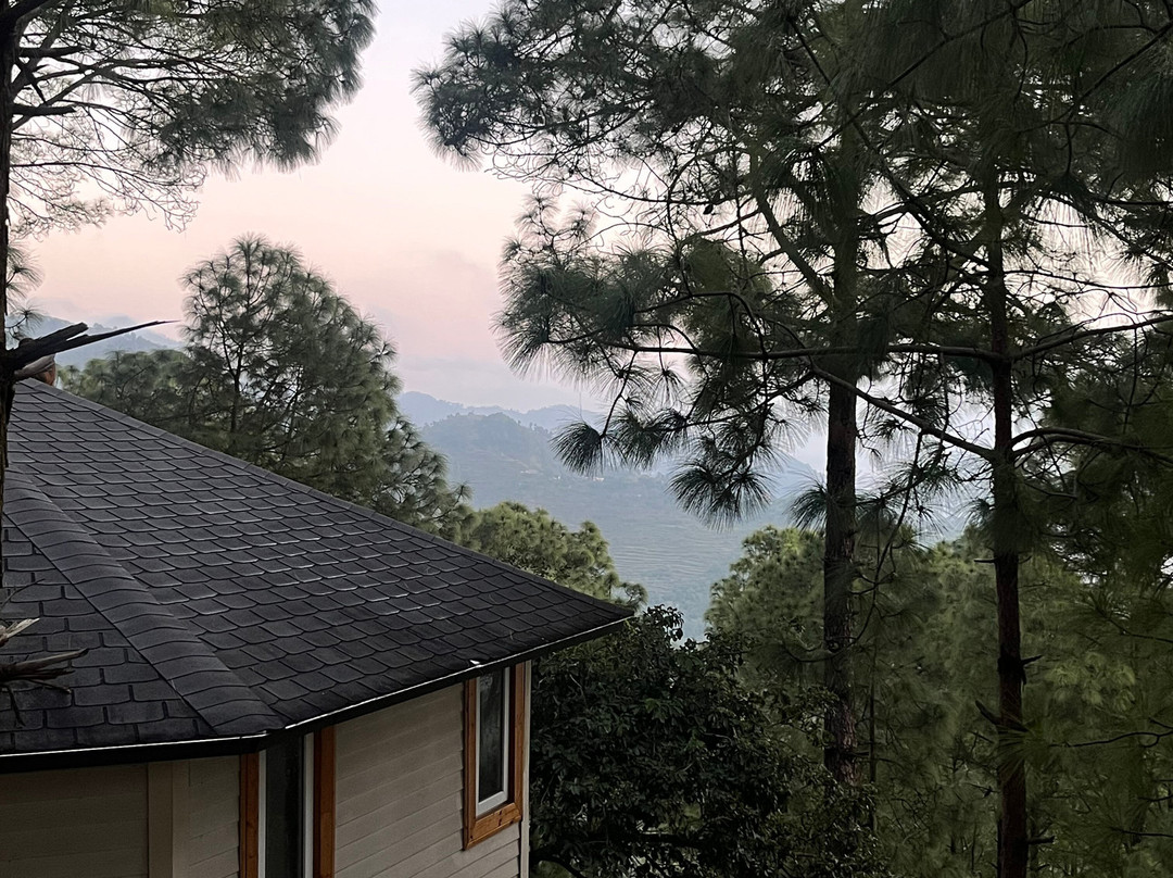 The Woods Retreat主图