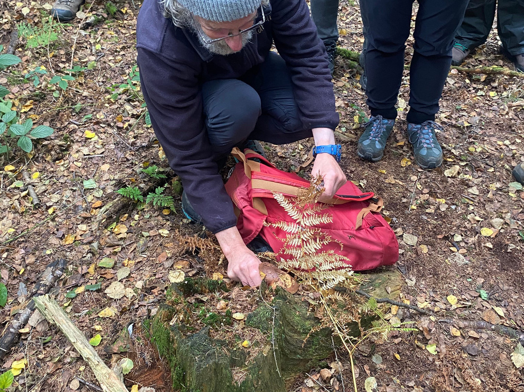 Wild Food Uk-Byford必去景点