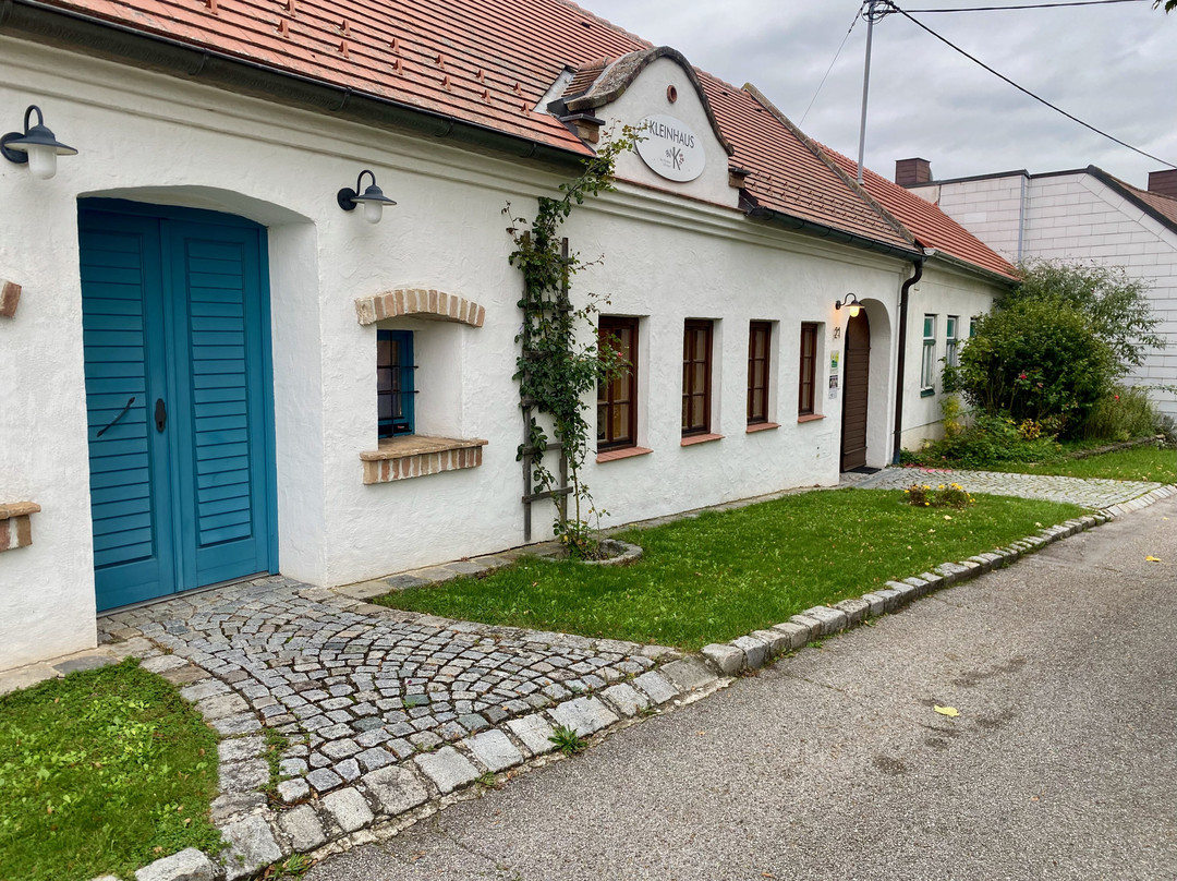 Bio-Weinbau Killmeyer