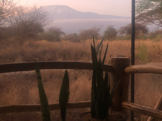 Joyina Safaris Africa-内罗毕必去景点