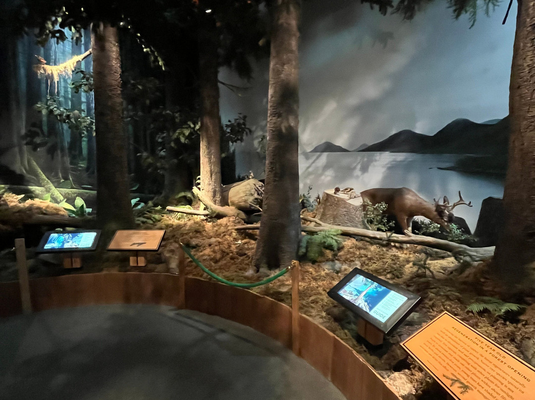 Southeast Alaska Discovery Center-凯奇坎必去景点