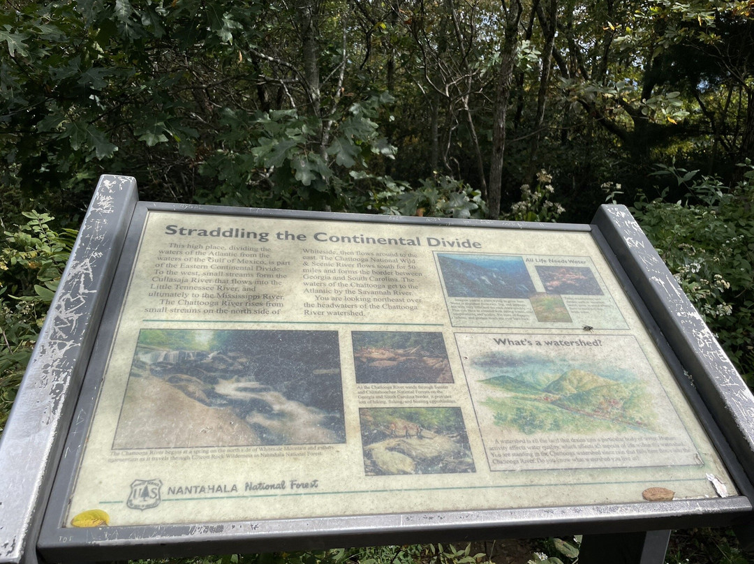 Whiteside Mountain Trail