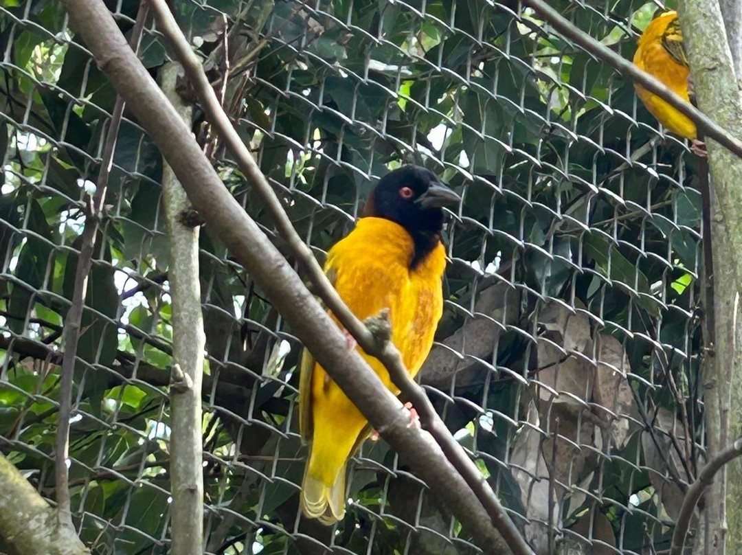 Parc Des Oiseaux-Villars-les-Dombes必去景点