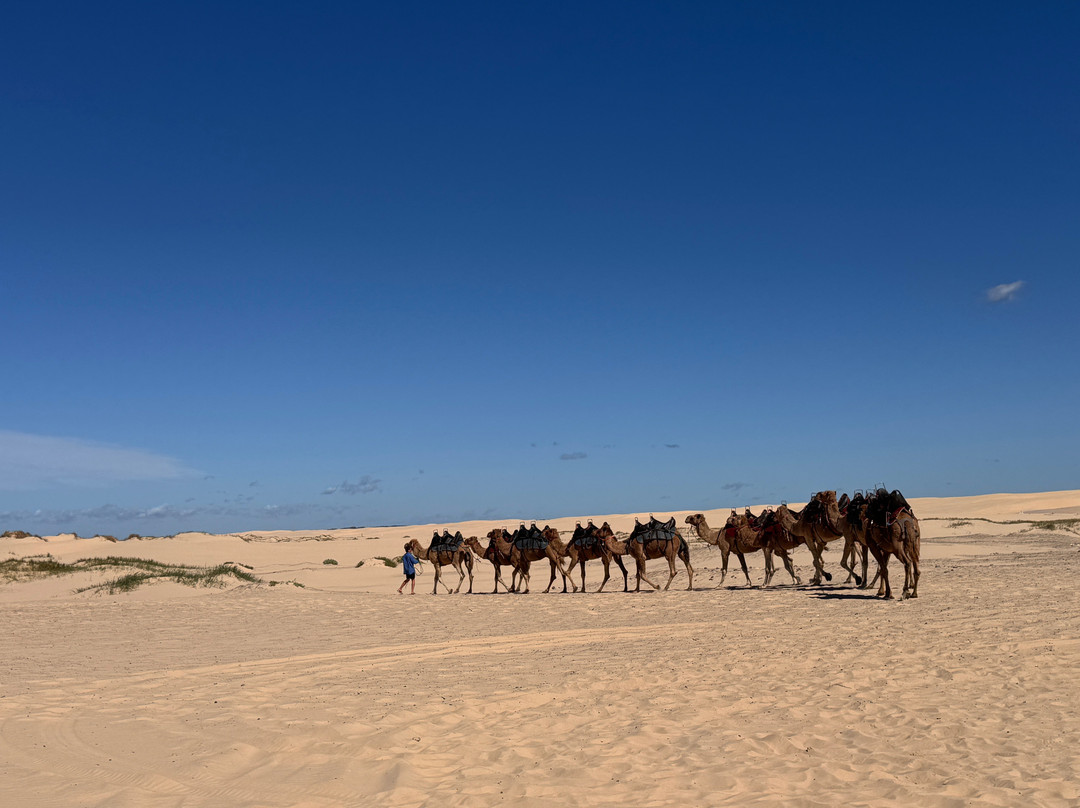 Oakfield Ranch-安娜湾必去景点