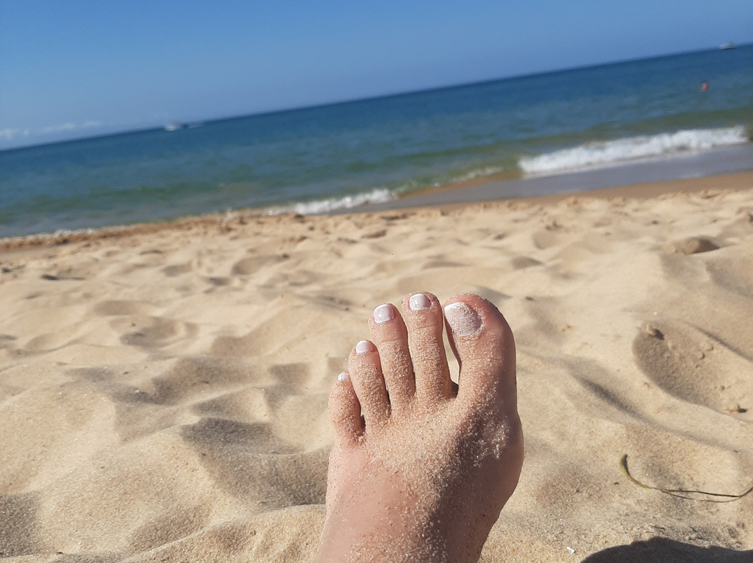 Praia da Tartaruga-布基亚斯必去景点