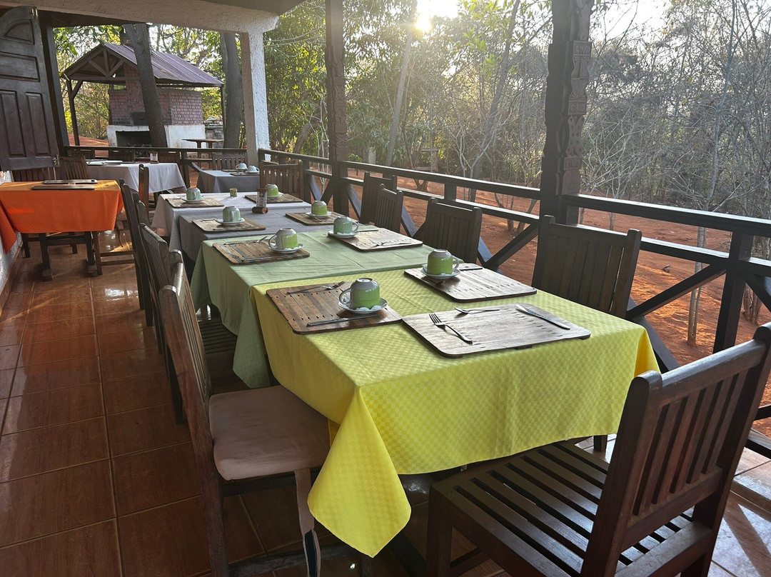 L'Orchidee de Bemaraha主图