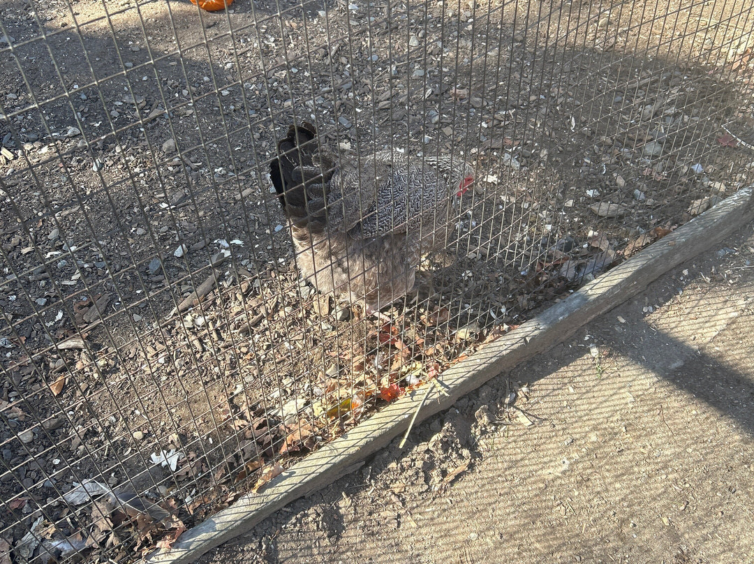 Muscoot Farm-Katonah必去景点