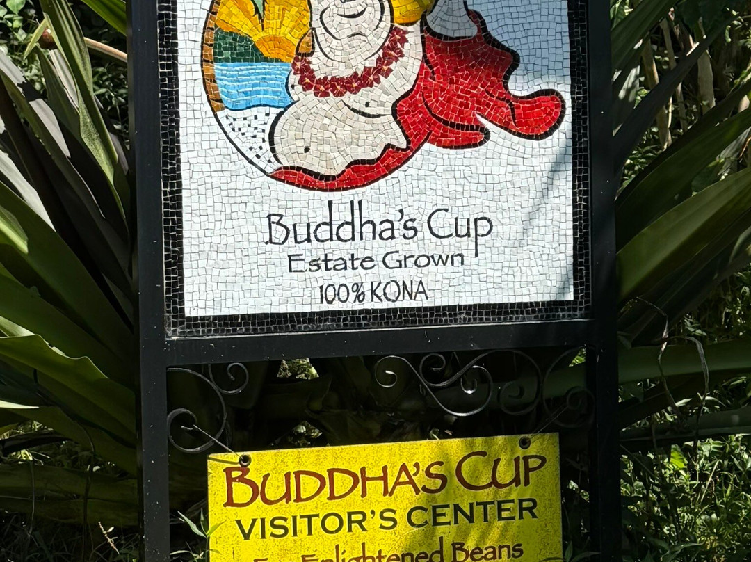 Buddha's Cup Kona Coffee And Tea Farm-哈陆亚洛亚必去景点
