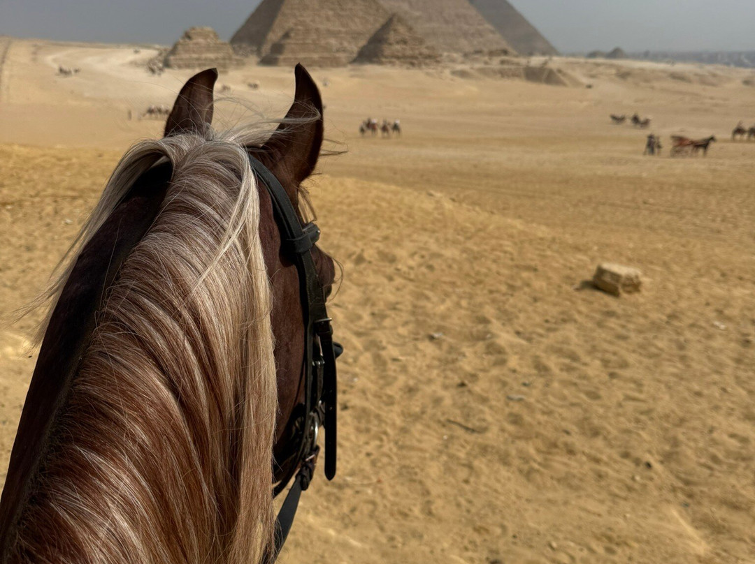 Tal3t Kheal - Horse Riding In Egypt-开罗必去景点