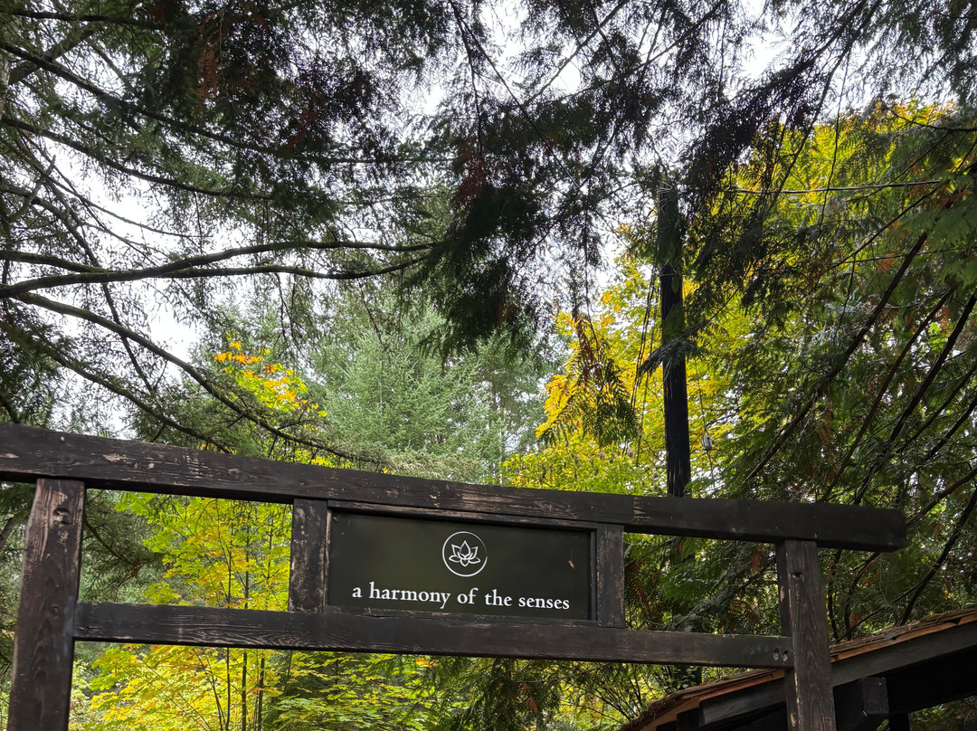 Solace Organic Spa-盐泉岛必去景点