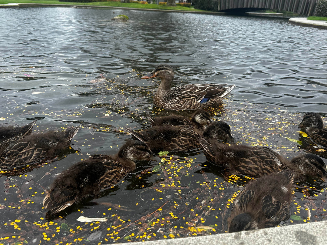 菲茨赫伯特堡汽车旅馆主图