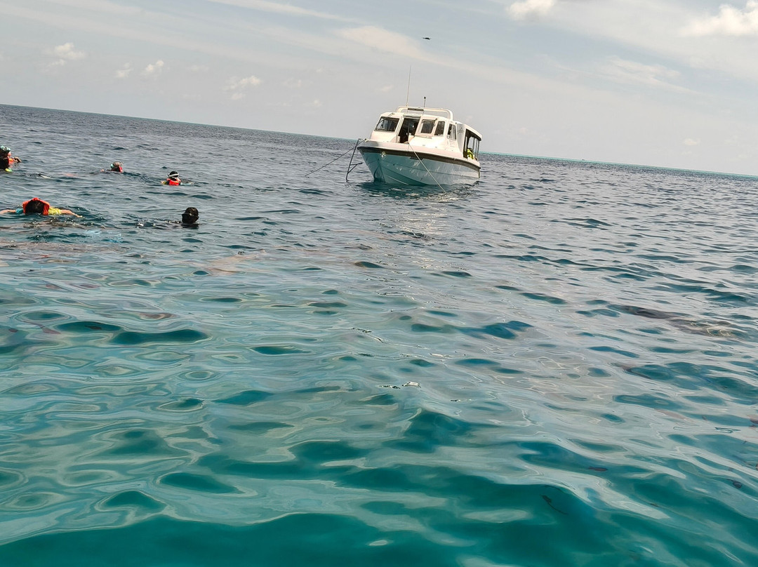 Bubbles Excursion-康杜玛岛必去景点