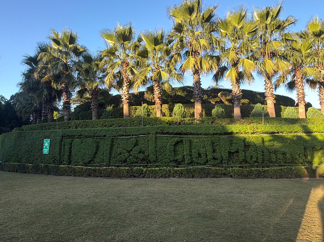 马辛德拉康达哈特俱乐部酒店主图