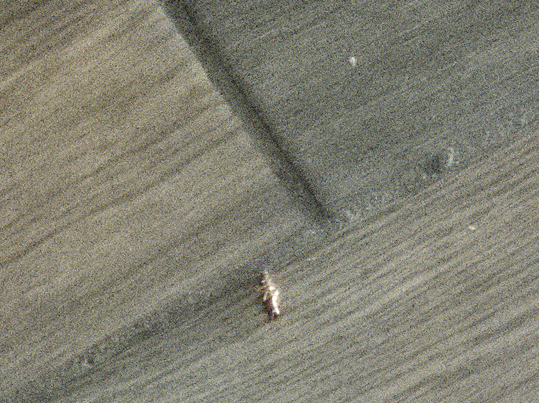 Bucharest Zoo-布加勒斯特必去景点