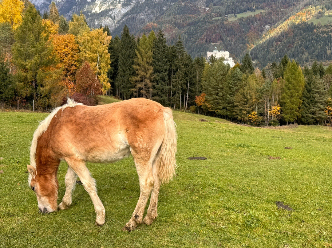 The Sound of Music Trail-维尔芬必去景点