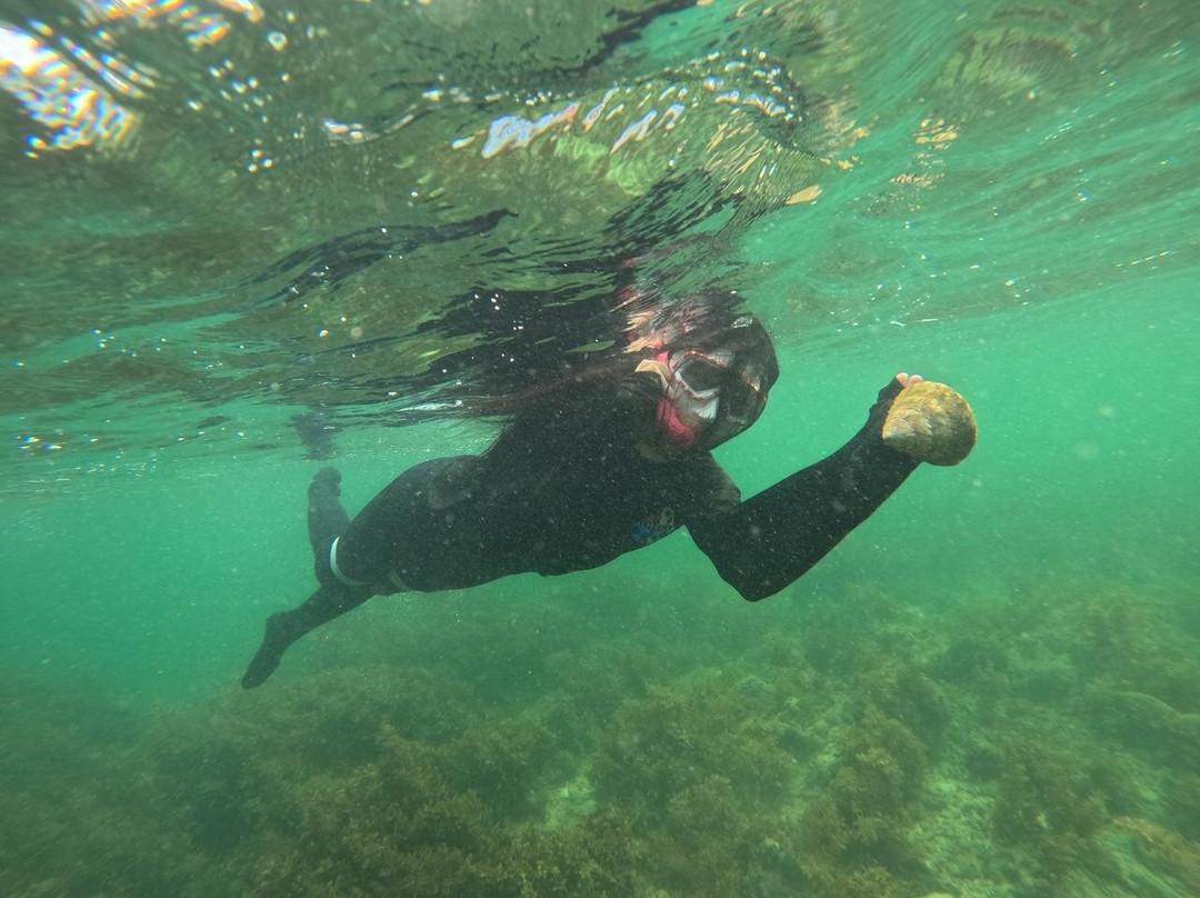 Batam Snorkeling Tour-Tembesi必去景点