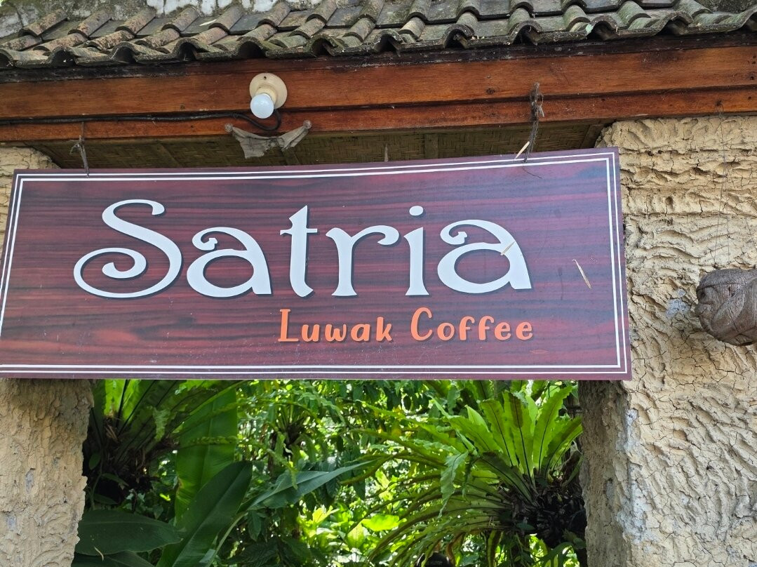 Bali Customized Tours-Batubulan必去景点