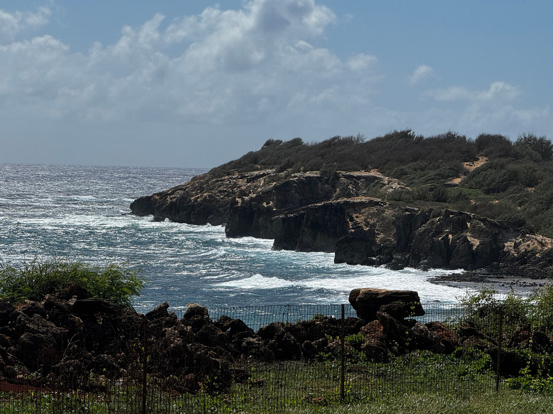 波伊普湾高尔夫球场-可洛亚必去景点