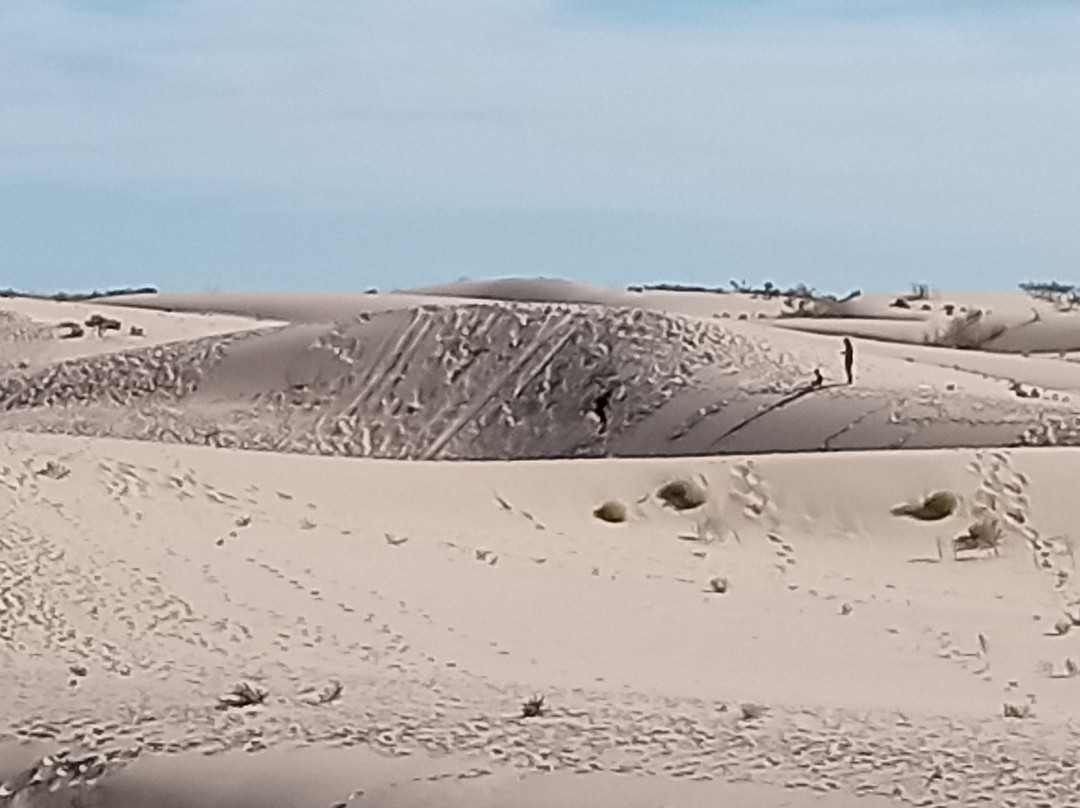 Monahans Sandhills State Park-Monahans必去景点