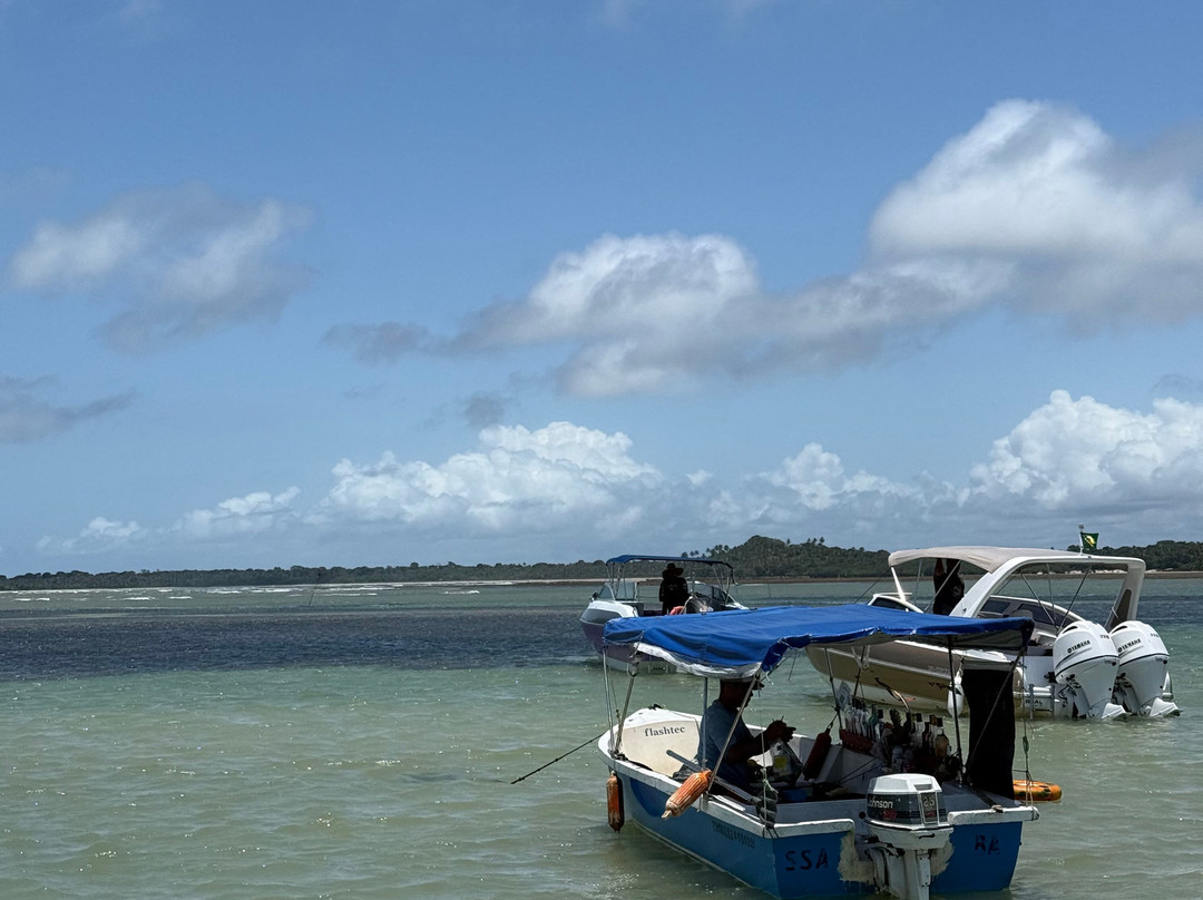 Bahia Terra Turismo E Eventos-萨尔瓦多必去景点