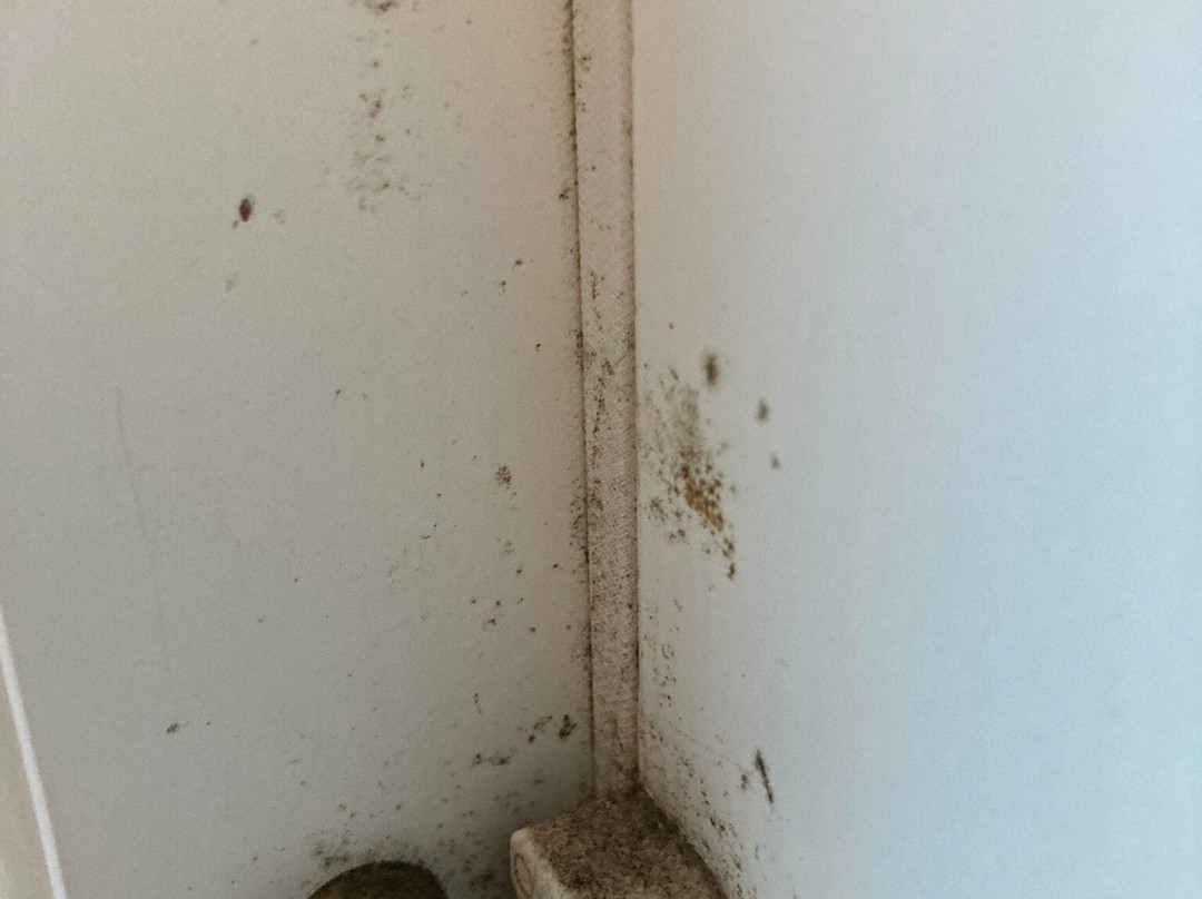 Harbour View Bed and Breakfast主图