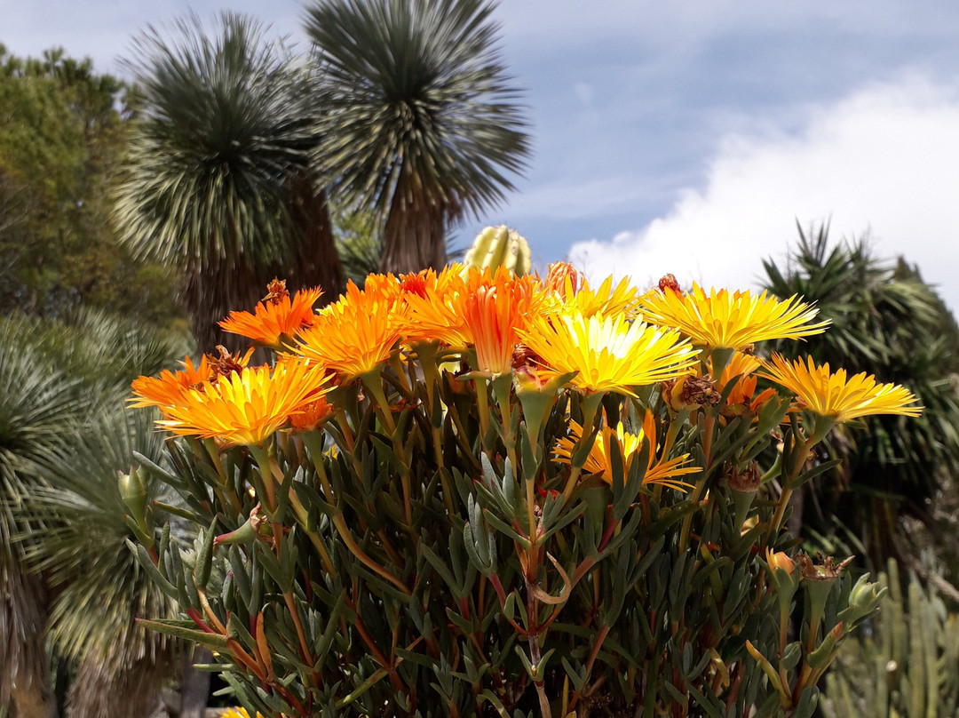 La Cutura Giardino botanico-Giuggianello必去景点